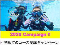 OWD�L�����y�[��